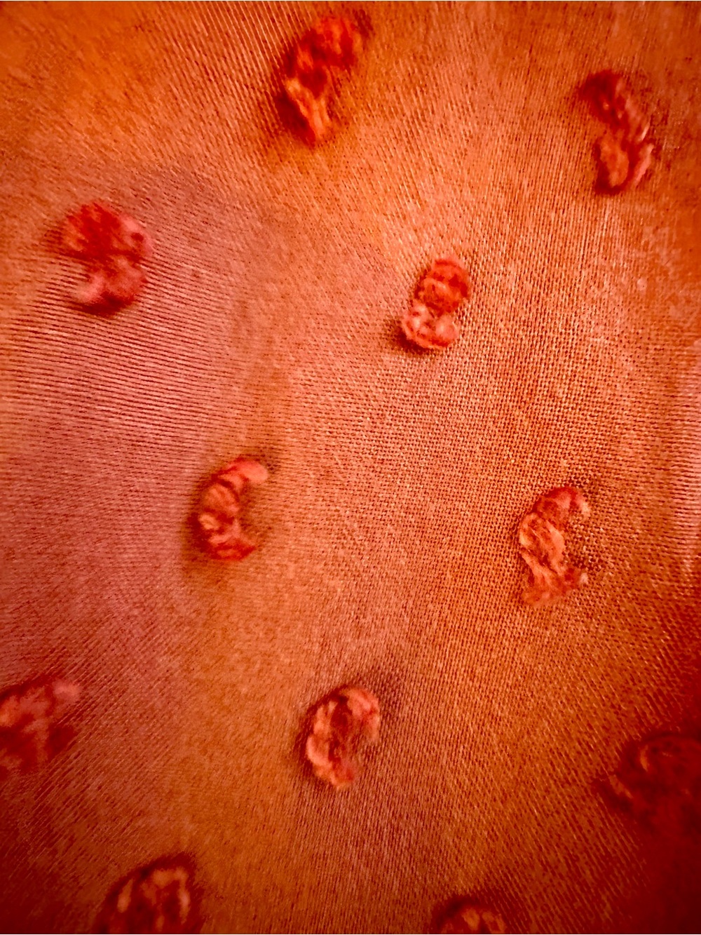 LOFT Rust Red Ruffle Front Short-Sleeve Blouse - Picture 4 of 5